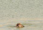 DSC_5561.JPG