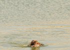 DSC_5562.JPG