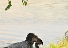 DSC_5563.JPG