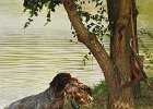 DSC_5564.JPG