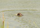 DSC_5574.JPG