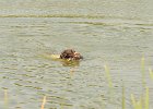 DSC_5575.JPG