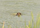 DSC_5576.JPG