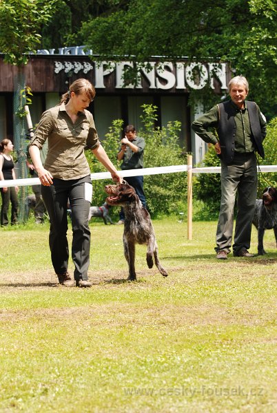 98-DSC 5025-tr prac-artemis farni dvur