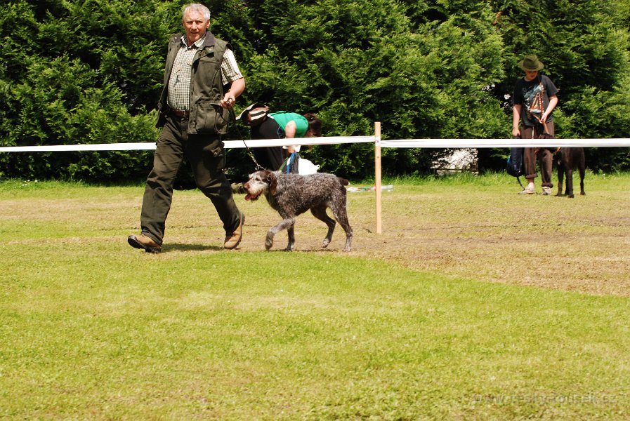DSC 5079-tr veteran-bora z duskova dvora