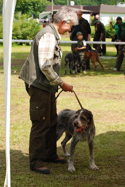 DSC 5082-tr veteran-cedra z dubove hraze
