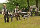 105-4-tr_vet.JPG