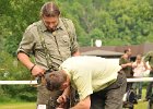 128-DSC_2937-tr_prac-erna_od_olsi.JPG