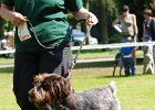 57-DSC_4808-tr_dorost-cita_z_blatin.JPG