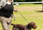 75-DSC_4978-tr_ot.JPG