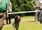 75-DSC_4980-tr_ot.JPG