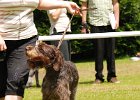 75-DSC_4982-tr_ot.JPG