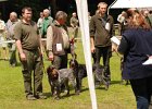 75-DSC_4985-tr_ot-prvni_dve.JPG