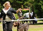 76-DSC_4846-tr_ot-agata_regal.JPG
