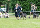 76_4823-tr_ot-agata_regal.JPG