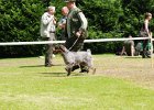 81-DSC_4855-tr_ot-betty_z_blatin.JPG