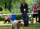 81-DSC_4861-tr_ot-betty_z_blatin.JPG