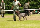 86a-DSC_4970-tr_ot-ela_z_kablane.JPG