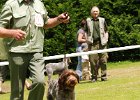 86a-DSC_4972-tr_ot-ela_z_kablane.JPG