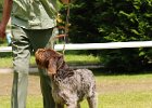 86a-DSC_4975-tr_ot-ela_z_kablane.JPG