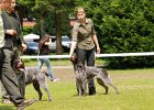 97_5056-tr_prac_prvni_dve.JPG