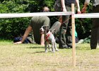 DSC_4853.JPG