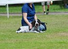 DSC_4918.JPG