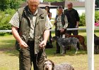 DSC_5078-tr_veteran-bora_z_duskova_dvora.JPG