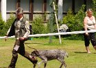 DSC_5084-tr_veteran-cedra_z_dubove_hraze.JPG