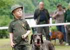 DSC_5092-tr_veteran-tora_z_fesandy.JPG