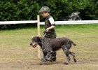 DSC_5094-tr_veteran-tora_z_fesandy.JPG