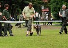 DSC_5102-tr_veteran.JPG