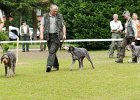 DSC_5103-tr_veteran.JPG