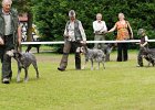 DSC_5104-tr_veteran.JPG