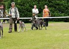 DSC_5105-tr_veteran.JPG
