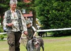 DSC_5106-tr_veteran.JPG