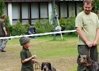 DSC_5112-tr_veteran-tora_z_fesandy.JPG