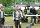 DSC_5115-tr_veteran.JPG
