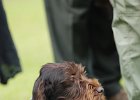 DSC_5124.JPG