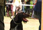 DSC_5146.JPG