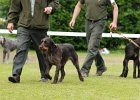 DSC_5156.JPG
