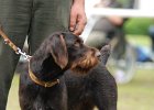 DSC_5160.JPG