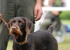 DSC_5162.JPG