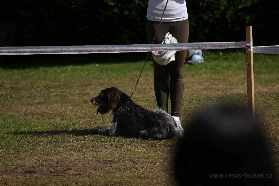 IMG 4899