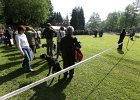 IMG_4767.jpg