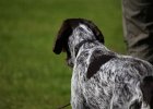 IMG_4786.jpg