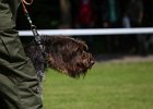 IMG_4787.jpg