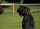 IMG_4788.jpg