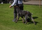 IMG_4798.jpg