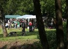 IMG_4822.jpg